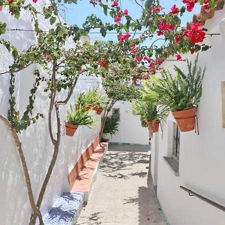 Готель Complejo La Chanca, Hab 11 Коніль-де-ла-Фронтера